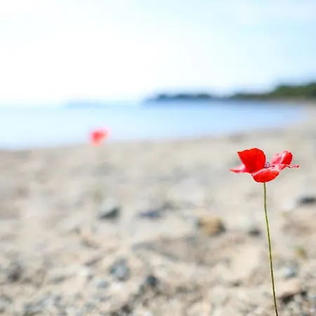 Saint George Sithonia