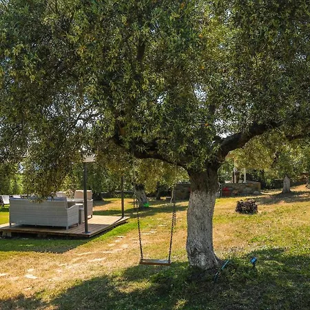 Saint George Sithonia Apartment