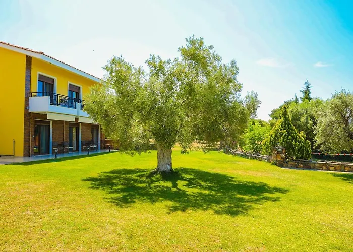 Saint George Sithonia 公寓 新马尔马拉斯