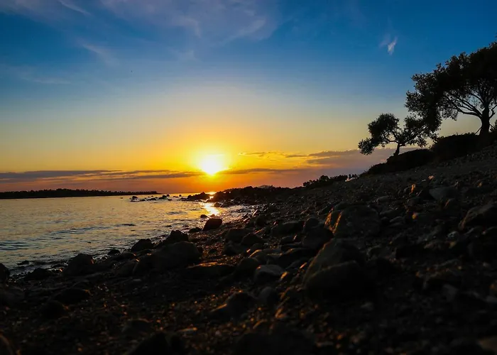 公寓 Saint George Sithonia *