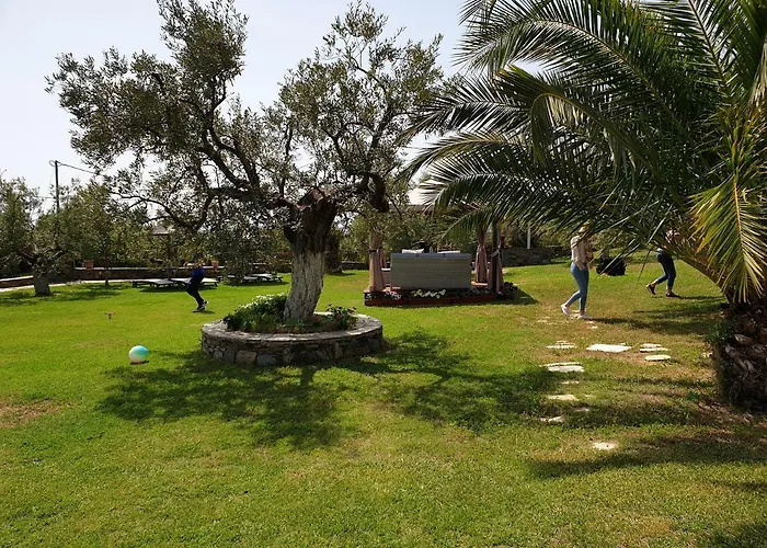 Saint George Sithonia 公寓 新马尔马拉斯