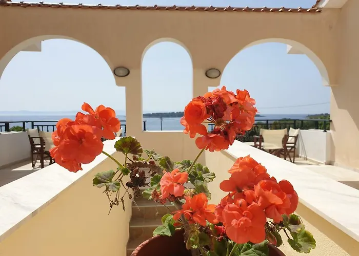 Saint George Sithonia 公寓 新马尔马拉斯