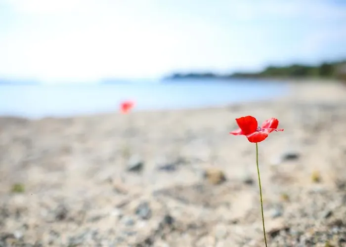 Saint George Sithonia